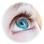 Oko – Akú funkciu má oko?