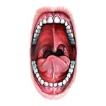 Čo je ústna dutina?